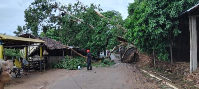 Madagaskar NG Kerk Groot-Brakrivier