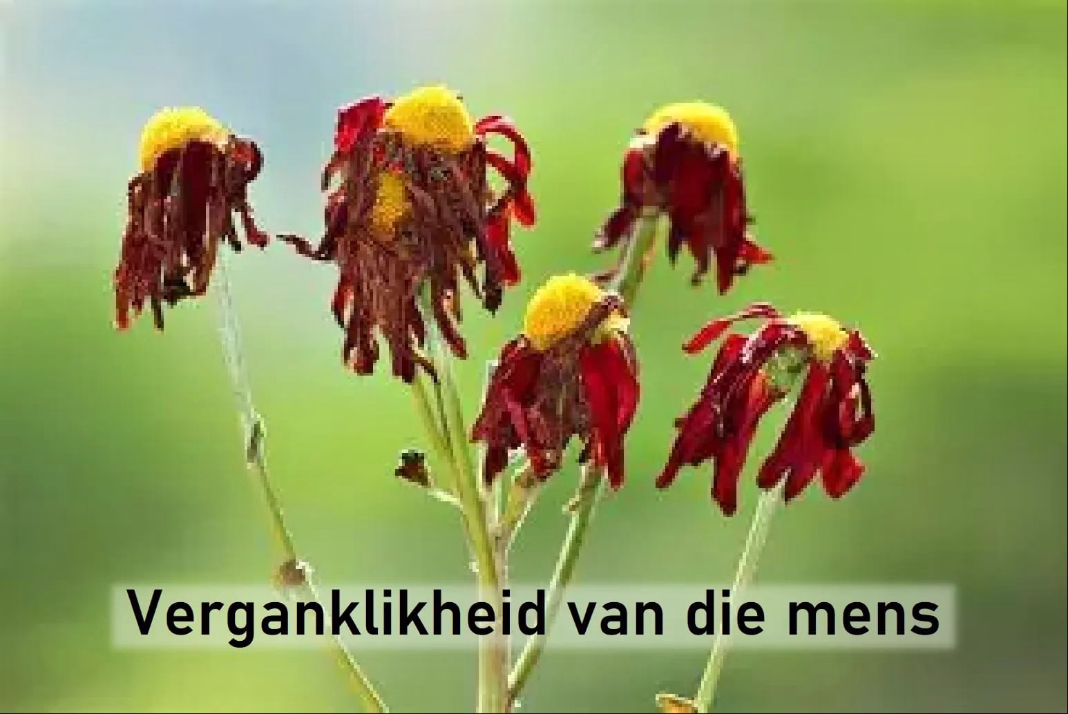 stof tot nadenke Verganklikheid