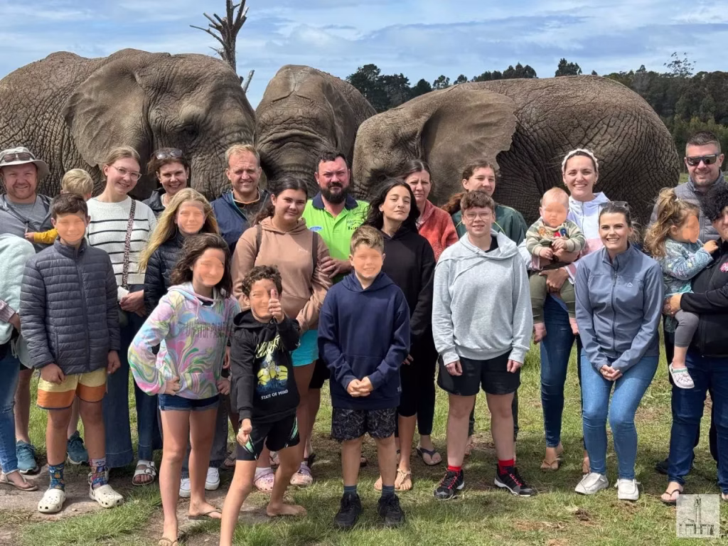 Harkerville November 2025