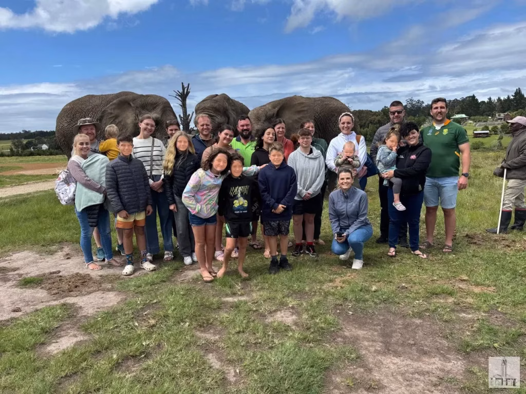 Harkerville November 2025