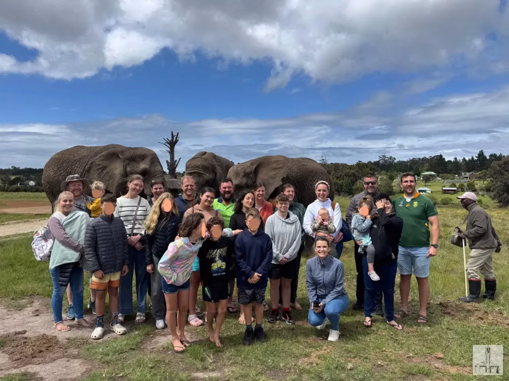 Harkerville November 2025