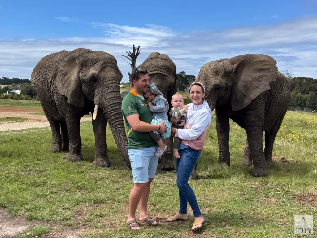 Harkerville November 2025