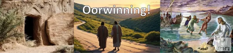 Stof tot nadenke: Oorwinning!