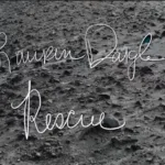Lauren Daigle - Rescue (Official Lyric Video) NG Kerk Groot-Brakrivier
