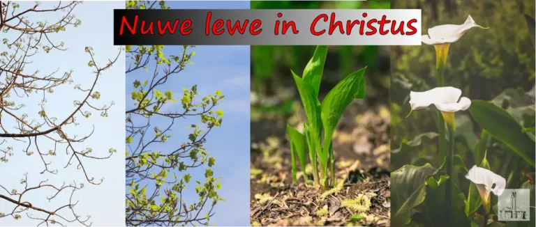 Stof tot nadenke: “Nuwe lewe in Christus”