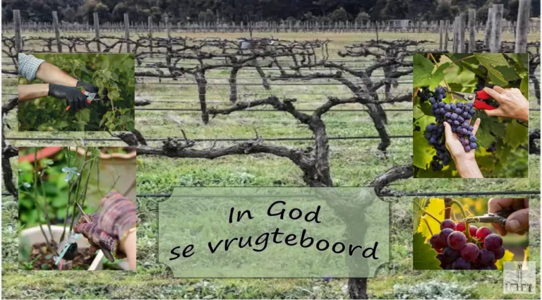 Stof tot nadenke: “In God se vrugteboord”